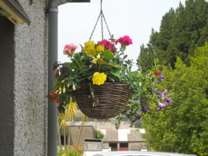 a beautiful hanging basket with a variety of calabr