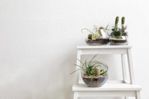 3 beautiful terrarium gardens in aclean display on a shelving unit