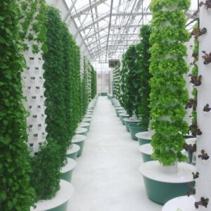 a tower gardening farm with dozens of towers growing hundreds of plants