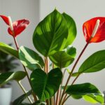 Anthurium, The Exotic, Long-Blooming Houseplant That Adds Elegance to Any Room